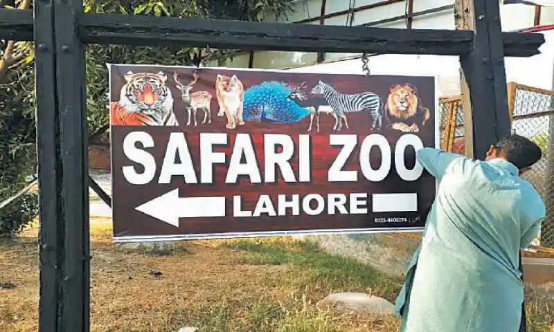 safari zoo places to visit in lahore